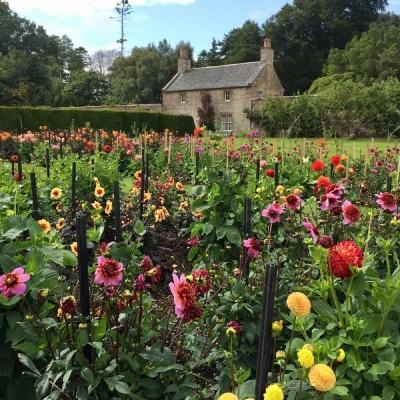 宝威体育手机app下载