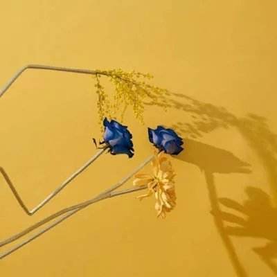 今天买什么特马app下载